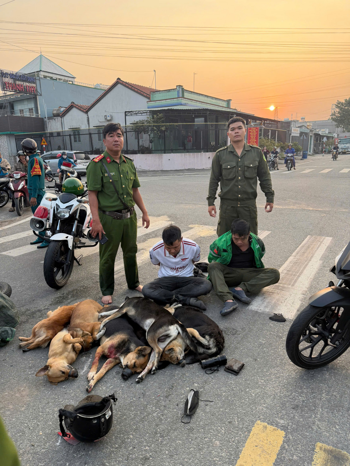 CÔNG AN PHƯỜNG BÌNH DƯƠNG KIÊN QUYẾT ĐẤU TRANH, XỬ LÝ NGHIÊM TỘI PHẠM TRỘM CẮP TÀI SẢN, ĐẶC BIỆT LÀ TRỘM CẮP CHÓ, MÈO