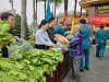 Mô hình “Rau sạch Quân sự” - Chung tay sẻ chia cùng người lao động phường Bình Dương